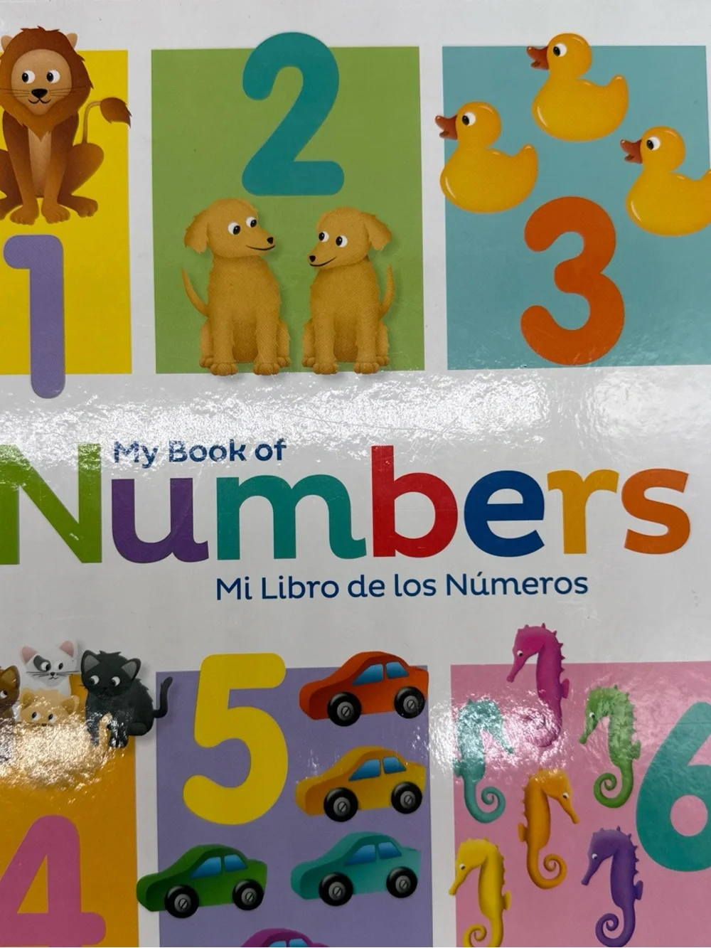 My Book of Colors, Shapes, Words & Numbers - Kids Educational Board Books (Set)